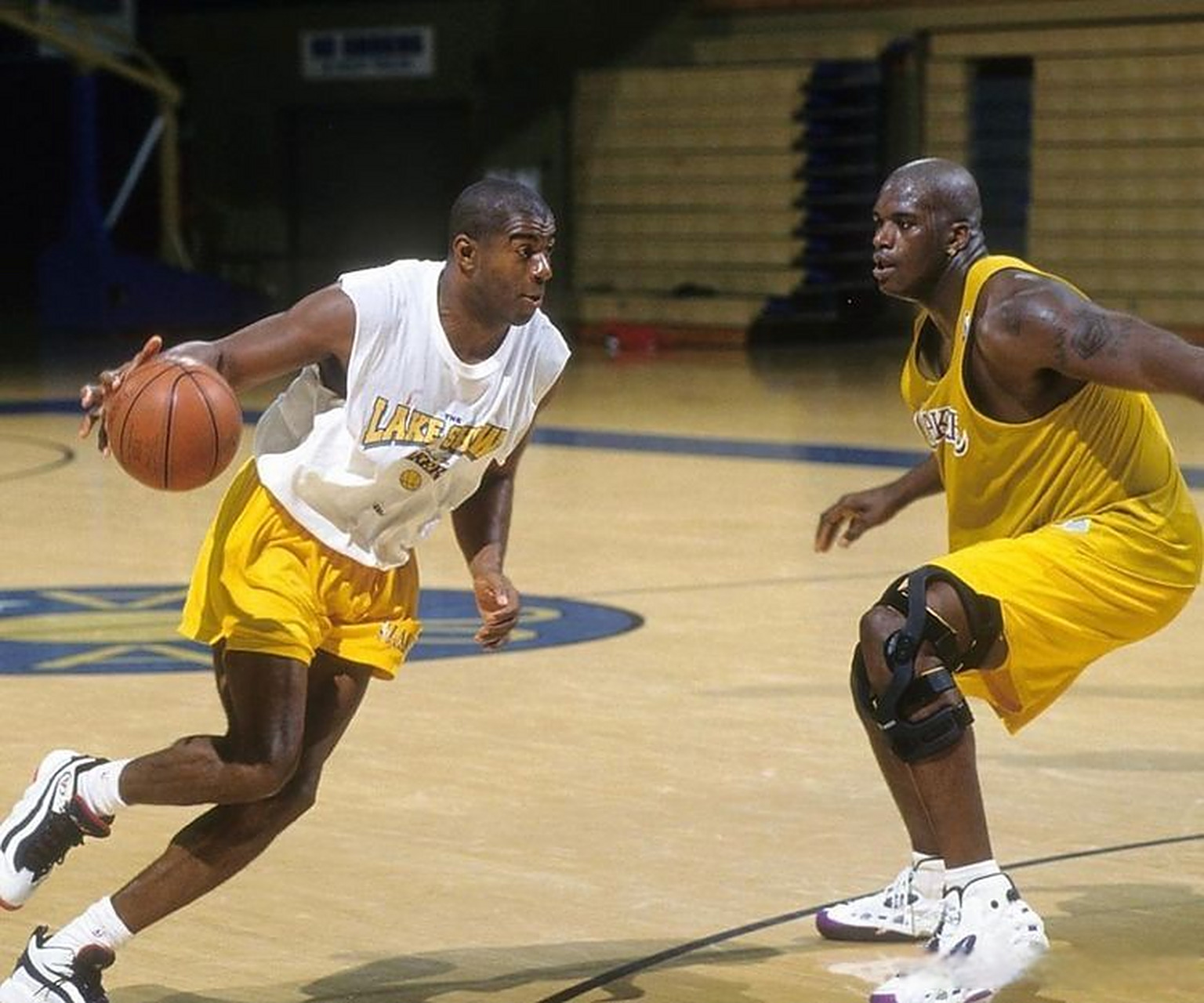 16篮板的 16篮板的