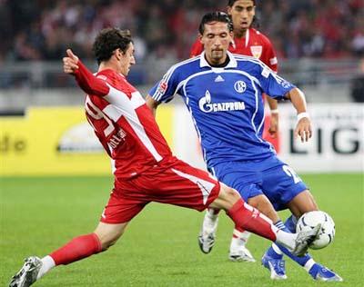 也显示了对 也显示了对