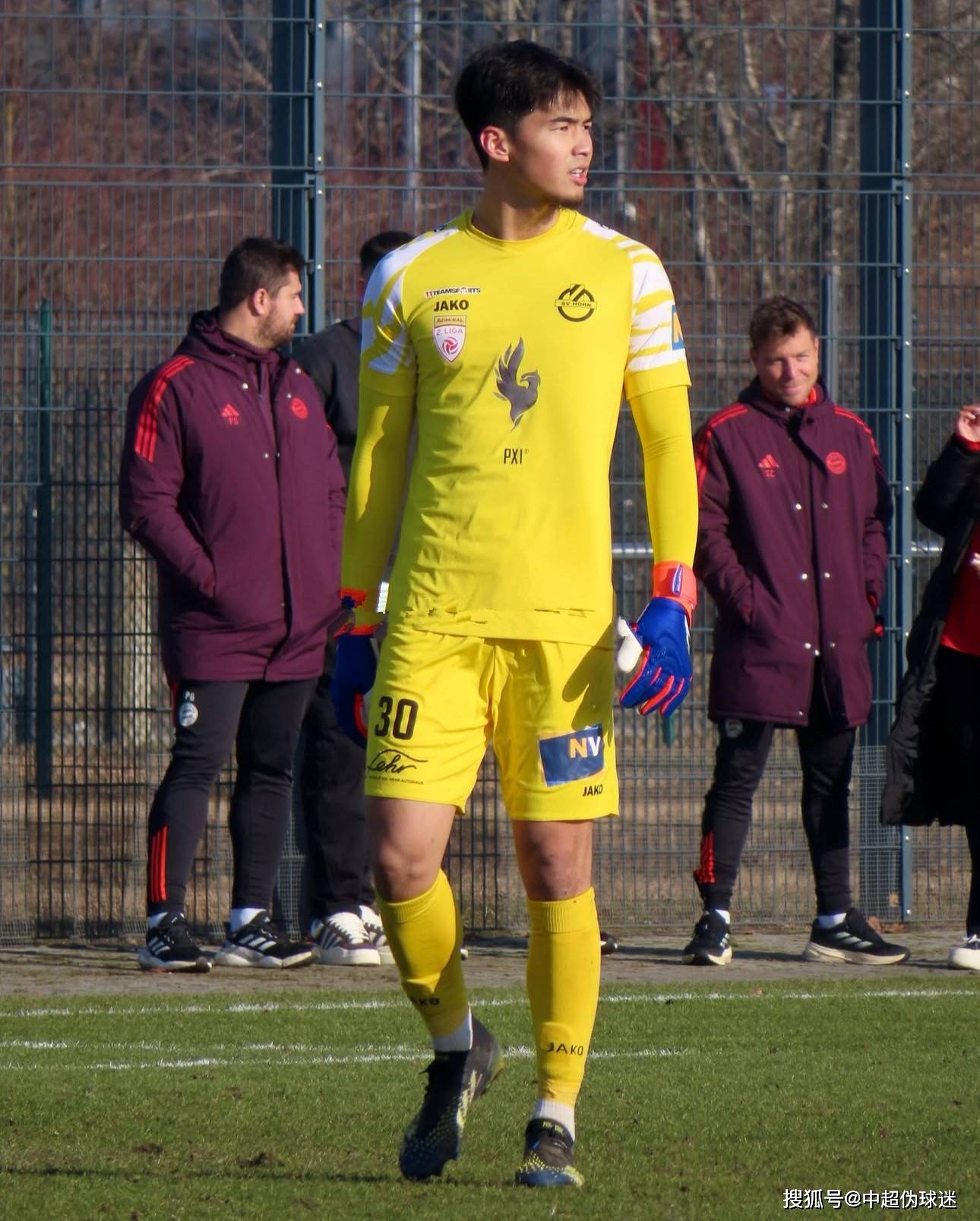 禁令背景及 禁令背景及